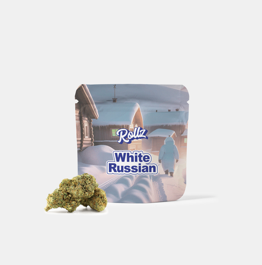 White Russian THC-A Blüten